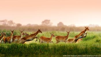 Enchanted Kingdom Movie: Scene #1