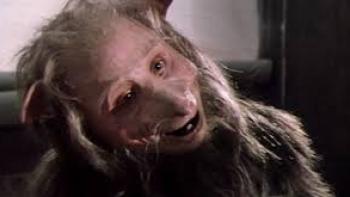 Fuzzbucket Movie: Phil Fondacaro plays the title role