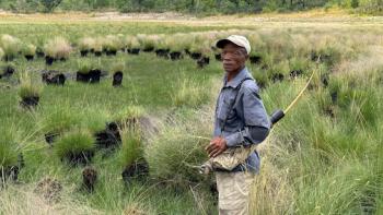 Ghost Elephants: Tracking the elephants.