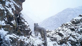 Ghost of the Mountains Movie: Scene #3