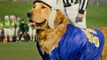 Air Bud: Golden Receiver Movie: A golden retriever wearing a soccer jersey and helmet in front of a referee