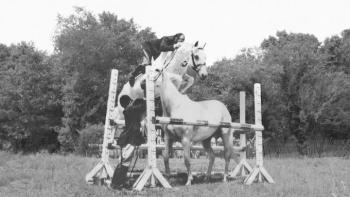 Harry and Snowman Movie: Scene #2