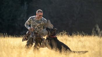 Heart of the Beast movie: James Belmont (Brad Pitt) plays with German Shepherd Odin in a field