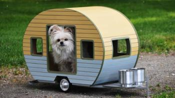 In the Doghouse Movie: Scene #3