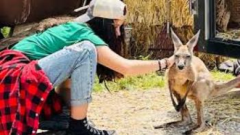 Kangaroo Kids: Josefina Baeza and Molly the kangaroo.