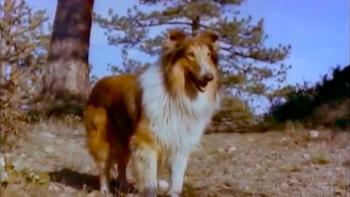 The Painted Hills Movie: Scene #1