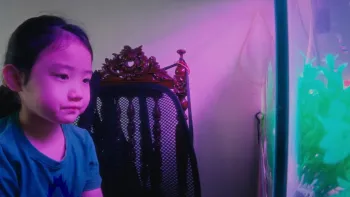 Left-Handed Girl movie: Taiwanese girl in blue shirt left looks at glowing fish in a fish tank right