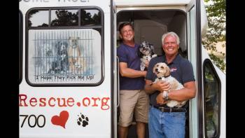 Life in the Doghouse Movie: Scene #1