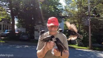 Life In A Day Movie: Scene #2