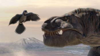 Lone Pup: An animated T-rex looks at a flying bird.