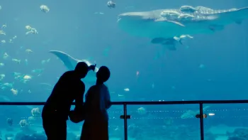Makayla’s Voice: A Letter to the World: Two shadowed figures at an acquarium.