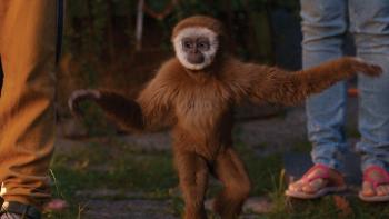 Monky Movie: Scene #5