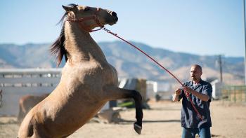 The Mustang Movie: Roman Coleman and friend