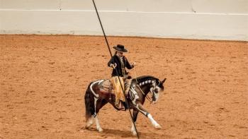 The Mustangs: America's Wild Horses Movie: Scene #2