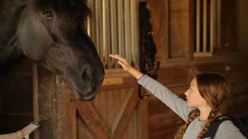 My Best Friend Movie: Scene #1