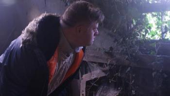 My Feral Heart: Steven Brandon looks out through a window of a structure overgrown with plants
