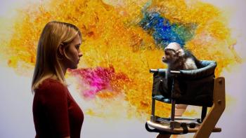 O Horizon Movie: Abby regards a monkey in a chair; behind them is a dazzling display of color on a screen