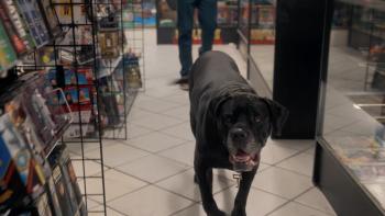 Dog Patrol: Operation Santa Paws movie; A black lab dog walks the aisles at a store