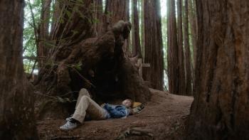The Optimist Movie: Abby lies on the ground under an enormous gnarled tree, her head resting on a backpack