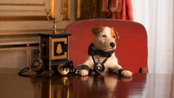 Millionaire Dog Movie: Scene #1