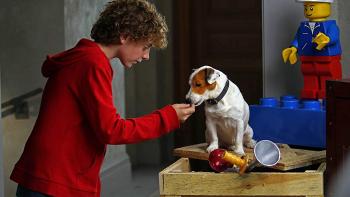 Millionaire Dog Movie: Scene #2