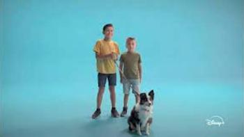 Pets: Two kids with a dog