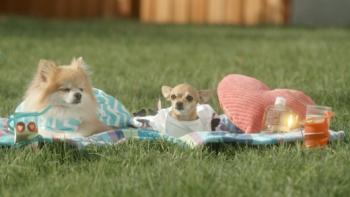 Designer Pups Movie: Scene #2