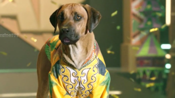 Pup Star: World Tour Movie: Africa is in the House