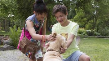 Rufus: A young Asian-American girl and a young White boy lean down to pet a golden retriever in the park