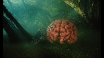Rumours movie: Cate Blanchett and Alicia Vikander sit on the ground talking next to a giant brain