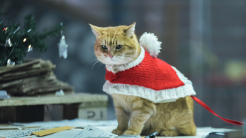 A Christmas Gift from Bob Poster Image 2