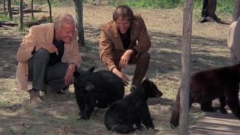 The Bears and I Movie: Scene #3