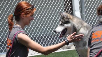 Second Chance Dogs Movie: Scene #4