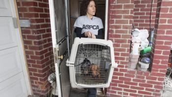 Second Chance Dogs Movie: Scene #2