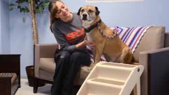 Second Chance Dogs Movie: Scene #1