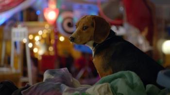 Shelby Movie: Scene #1