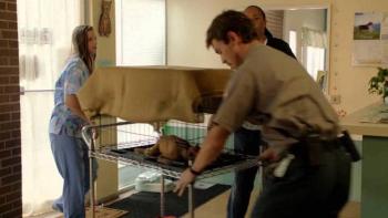 Susie's Hope Movie: Scene #3