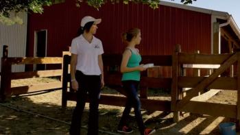 The Horse Dancer Movie: Scene #3