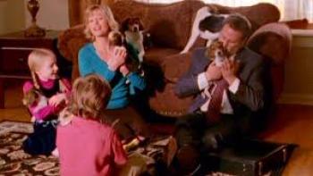 The Family Holiday: Family snuggles puppies