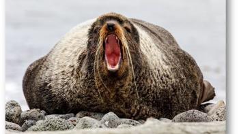 The Last Unknown: The Aleutian Islands Movie: Scene Two