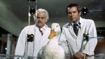 The Million Dollar Duck Movie: Jack Kruschen, duck, and Dean Jones