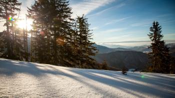 Untamed Romania Movie: Scene #1