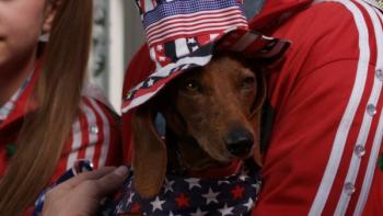 Wiener Dog Internationals Movie: Scene #3