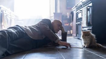 Mr. Blake at Your Service!: A bald, older White man lays on a kitchen floor talking to a fluffy cat