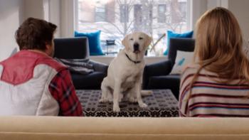 Who Gets the Dog? Movie:  Scene #1