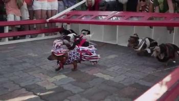 Wiener Dog Internationals Movie: Scene #4