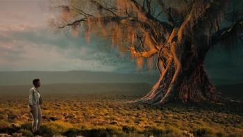 The Brave Ones image of tree. 