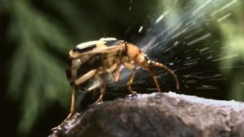 Absurd Planet Television: Screenshot #2