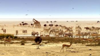 Africa TV Show: Scene #1