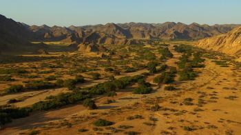 Africa TV Show: Scene #4